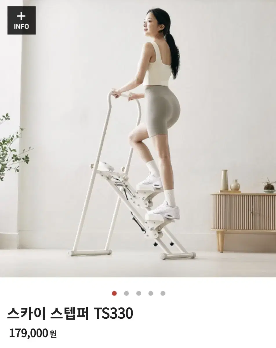 엑사이더 스텝퍼 TS330 새제품